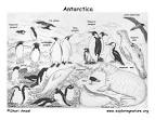 Antarctica coloring page