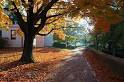 Denison University - Wikipedia, the free encyclopedia