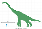 Sauroposeidon