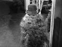 Cousin Itt (The Addams Family)