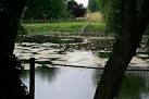 The pond is big enough to - via Daymix