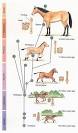 Darwin's lasting Revolution in thought