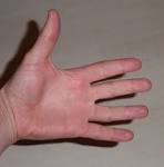 File:Paume de main.jpeg - Wikipedia
