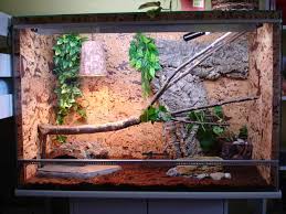 Q5_ EZ PET SHOP _ Chuyên Bò Sát Và Phụ Kiện - 39