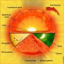 sun