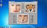 on Windows 7 of both 32