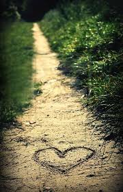 http://t3.gstatic.com/images?q=tbn:ANd9GcR3CeVv_UV2D9S2qbfJS_kftup1akvsvSEqH_8SFbhO1yFO1xzG