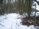 Currently only used by hardy walkers. - via Daymix