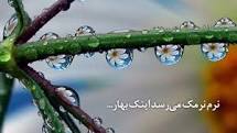 به پرستو، به گل، به سبزه درود!