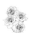 Rose Tattoos