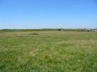 SZ1690 : Ancient Grassland - via Daymix