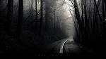 Into The Mist, Dark, Darkness, Forest, Road | Free HD wallpapers