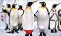Farce of the Penguins