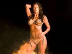 wwe divas in lezbian sex tapes