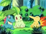 I LOVE CHIKORITA