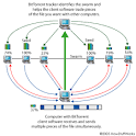 Position on Peer-to-Peer File Sharing