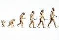 Skeptic Freethought » What Darwin's Theory of Evolution and ...
