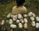 Cluster bombs: Attempt to weaken pact fails