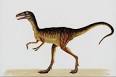 Compsognathus - Dinosaurs For Kids - KidsDinos.