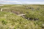 Broken wooden fence in grass - via Daymix