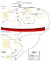 Gastric acid - Wikipedia, the free encyclopedia
