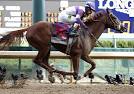 I'll Have Another wins Kentucky Derby - SportsWatch - MarketWatch