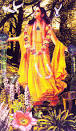 Jumbledance Tarot by Alexandra Genetti -- TEMPERANCE