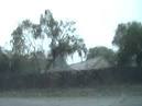 Tropical Storm Debby heads for Florida coast - Worldnews.