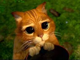 images?q=tbn:ANd9GcR5KjhipdaBwzGY4te8eO-jGNehXPUkr52SKJUET5Mxnwe-h-qj1Q