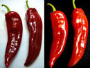 Anaheim Peppers « Culinary Fool