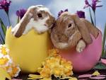 Works of Arts: Happy Easter Weekend