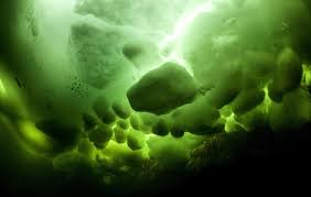 Μια βαθιά παγωμένη πράσινη… θάλασσα! Images?q=tbn:ANd9GcR5qYgwNEtkKC_lZpHZ1RqE7HjfMvehJsNj0tFeAoT30p6qgegP