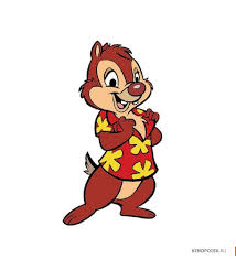 images?q=tbn:ANd9GcR5wM2kP-8b1wRvlFLuOmZvlHujjFgO7vpKoNgGBps61kNR9PZ1