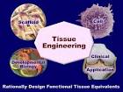 Growing New Cartilage