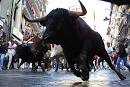 Running of the Bulls Tours