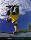 How To Skateboard: The Basics