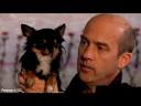 Anthony Edwards returns to TV