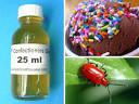 10 Weird and Gross Ingredients in Processed Food | Web Ecoist