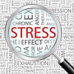 <b>Stress</b> up close diagram