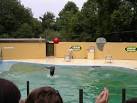 Dinosaur Park Sealion Pool - via Daymix