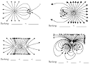 Electric Field Lines