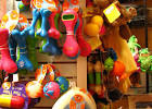 Chew toys and other time-bombs. | Domestic &amp; Wild Animal Caring