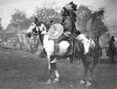 Colonial Spanish Horse