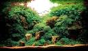 Nature Aquariums | Uncrate