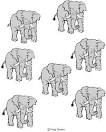 Can you find the odd one?