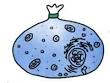 Biology4Kids.com: Cell Structure: Cell Membrane