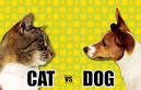 Book Lounge - Storytime: Cats vs Dogs