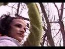 YouTube - Raising Sand
