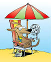 How to Weather the Dog Days of Summer! « Q4Blog