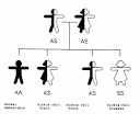 How to use Inheritance in C++ Programming | Programming Tips For ...